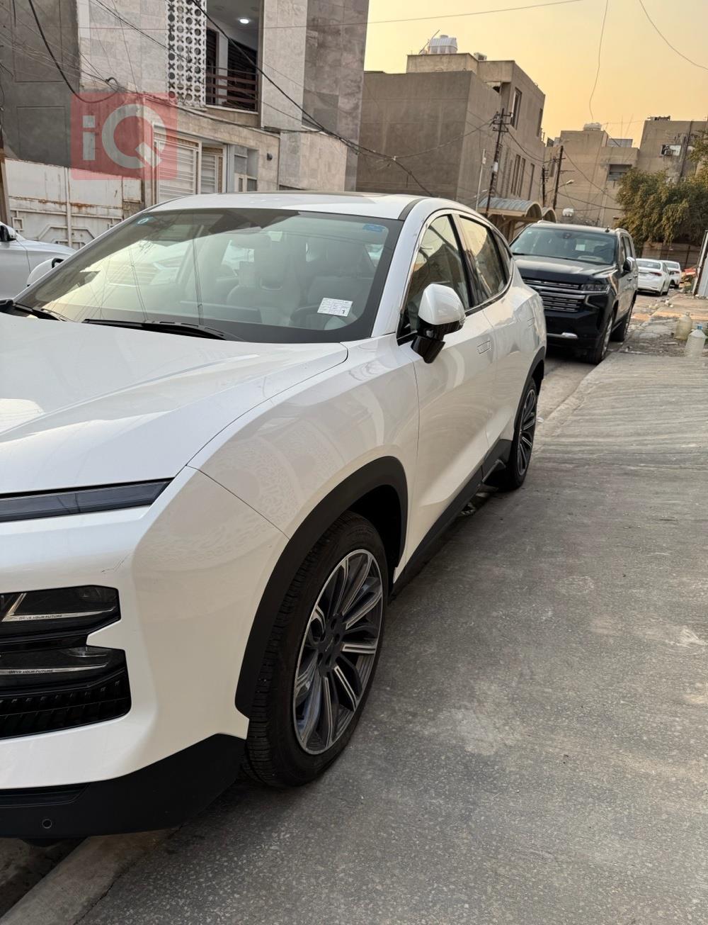 جيتور داشينج